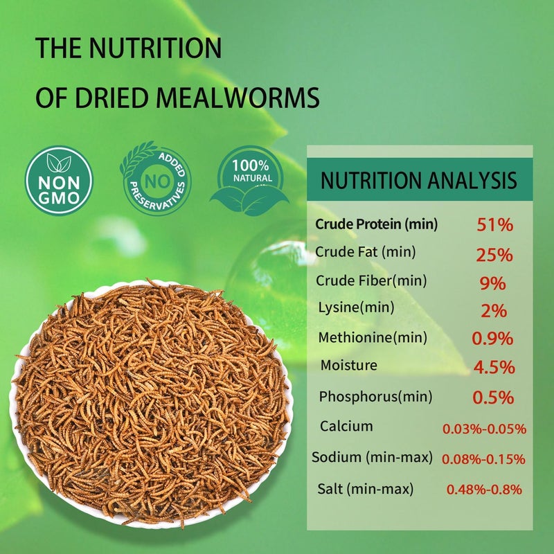 hatortpet Dried Mealworms 10LB Pure Natural Non-GMO Mealworms for Chickens High Protein Chickens Feed Meal Worms for Laying Hens Wild Birds - Image 2